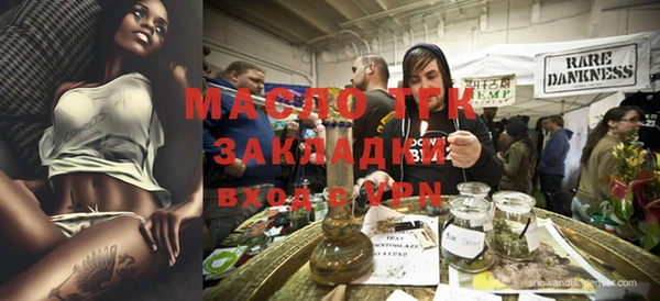 хмурый Ельня