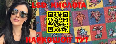 стафф Новозыбков