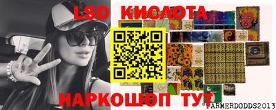стафф Новозыбков