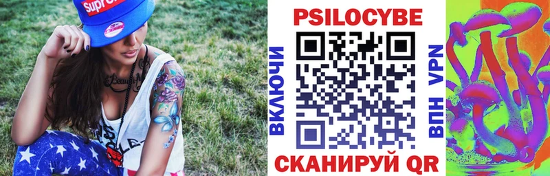 даркнет сайт Севастополь Галлюциногенные грибы Psilocybine cubensis